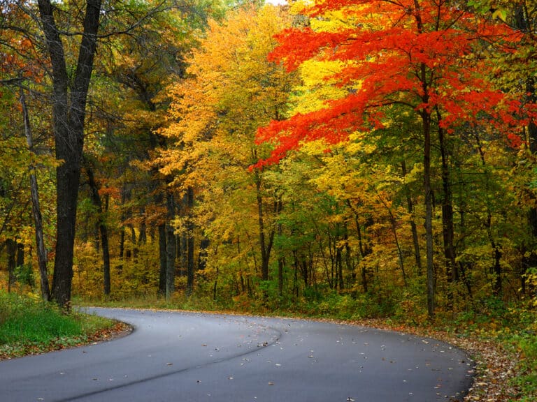 Scenic drive through colorful fall foliage is one of the best things to do in Minnesota in the fall
