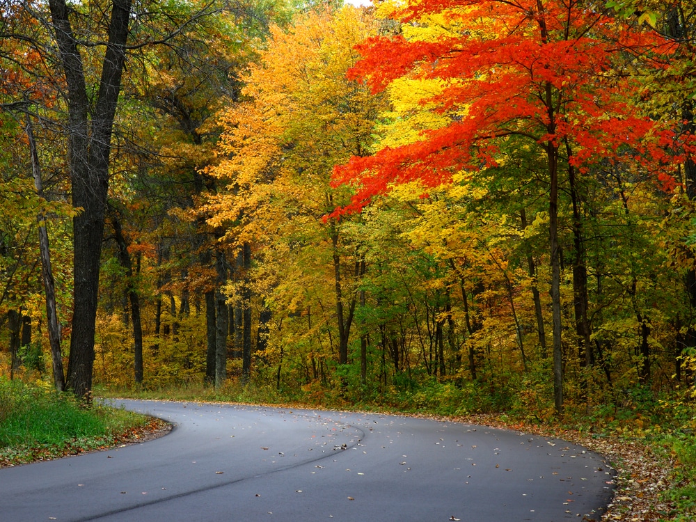 WunderRoost Bed and Breakfast 5 Scenic drive through colorful fall foliage is one of the best things to do in Minnesota in the fall
