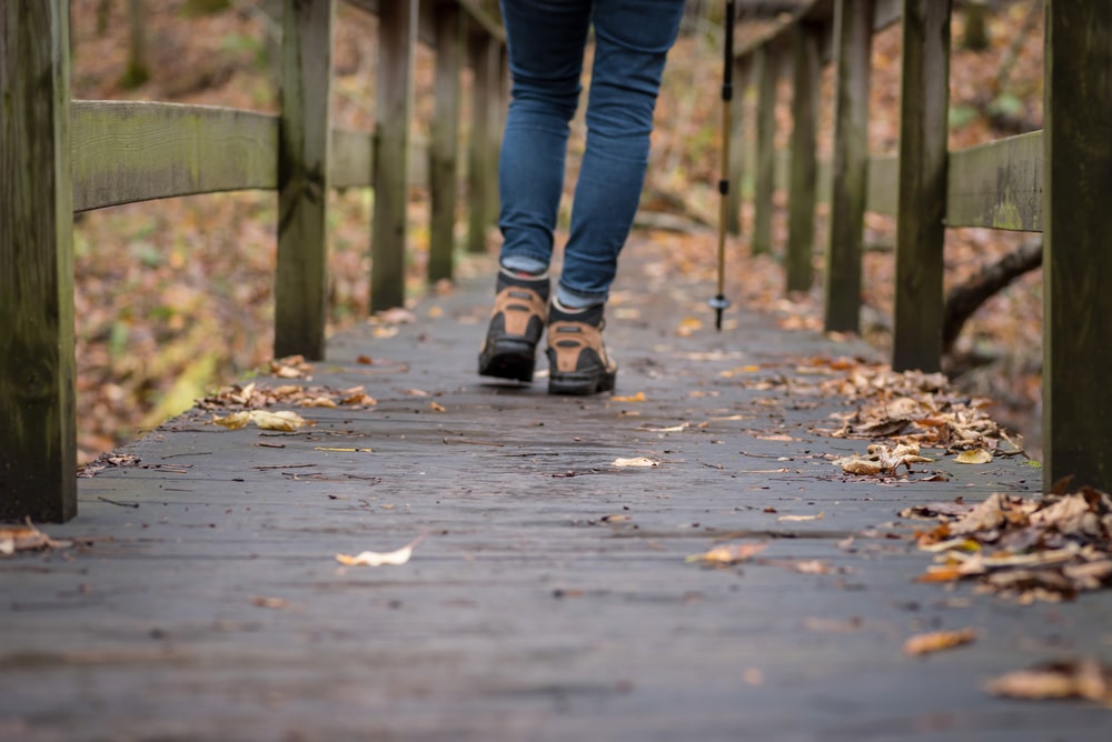 Woman hiking on a wooden boardwalk at Wildcat Mountain State Park or other top Wisconsin State Parks