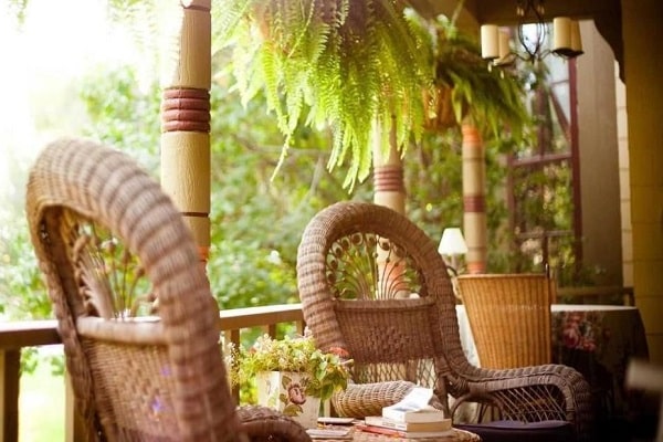 apple tree lane outside