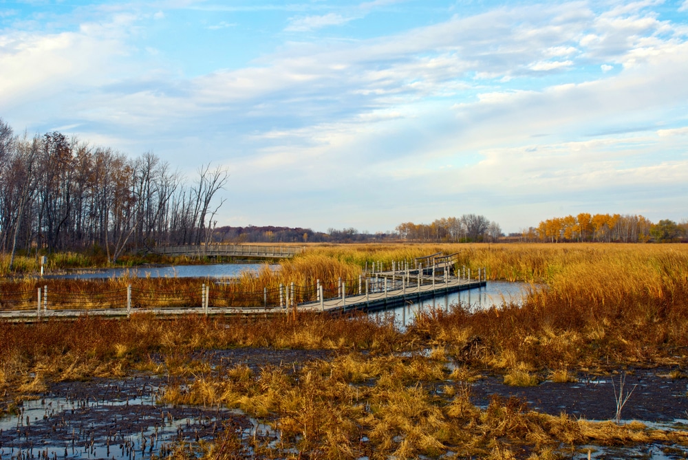 The walkways through Horicon National Wildlife refuge in Wisconsin