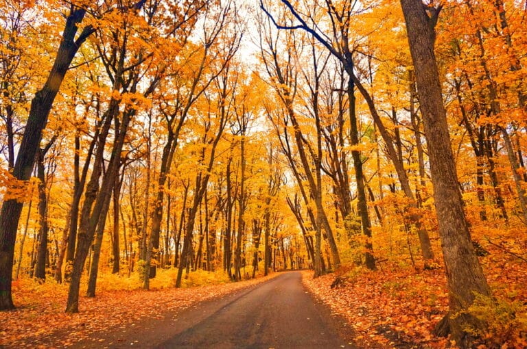 scenic drive through the best Door County Fall Colors in Wisconsin