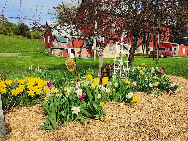 WunderRoost Bed and Breakfast 90