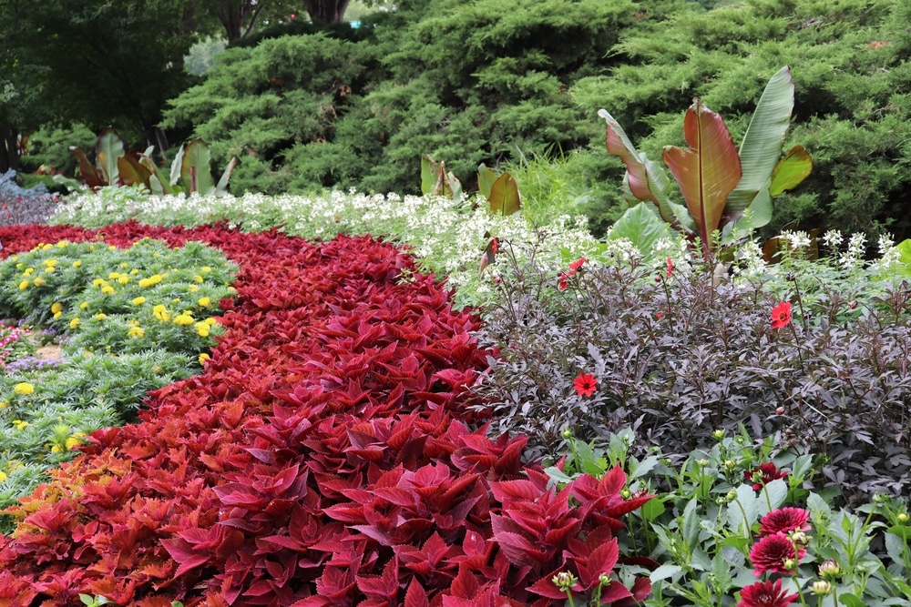 Beautiful foliage up close at Sunken Gardens in Lincoln, NE