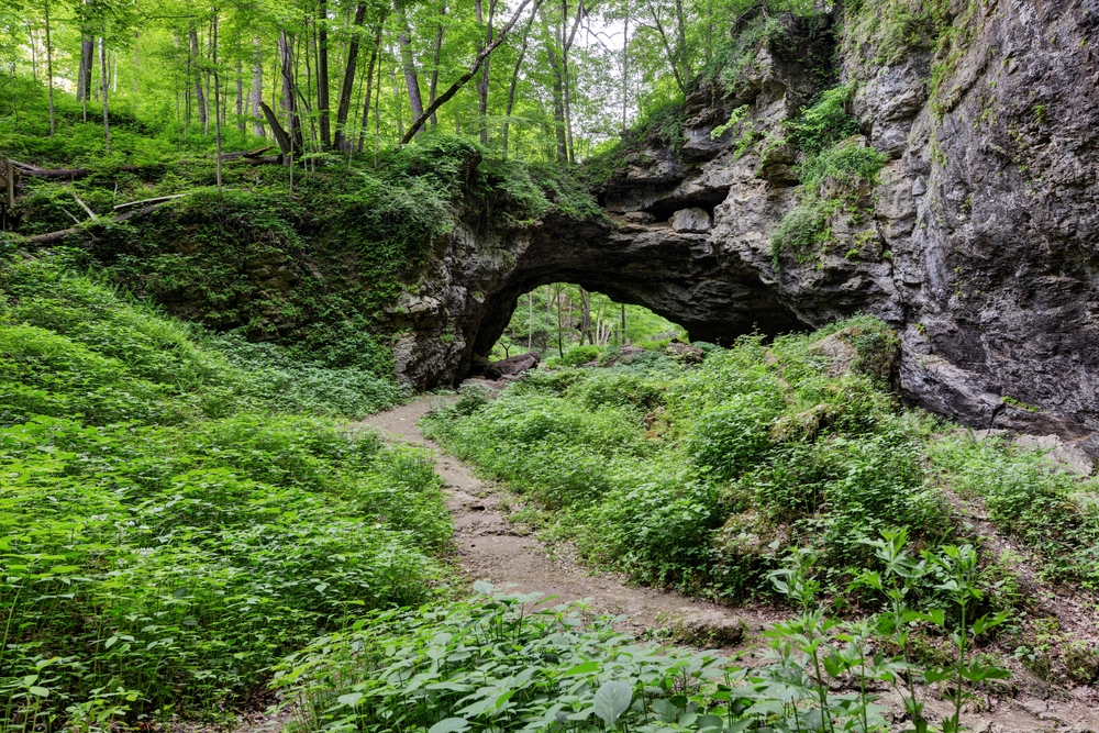 Trails to a natural bridge at Maquoketa Caves State Park in iowa