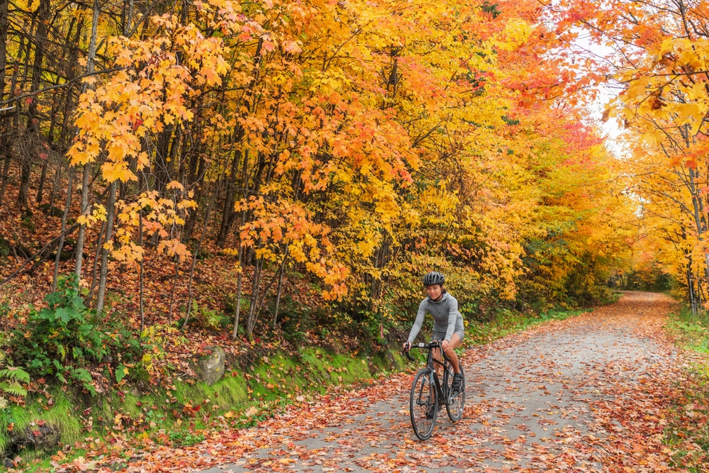 Biking through the fall colors on the Root River State Trail in Lanesboro, Minnesota