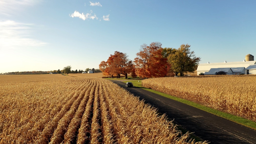 Midwest vacation ideas: Fall drives through corn fields and beautiful fall foliage in the Midwest