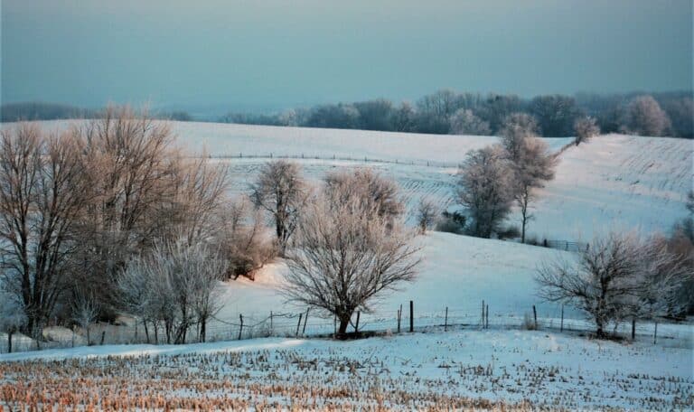 Beautiful winter landscapes to enjoy during romantic getaways in Iowa