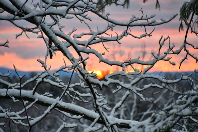 Wintry landscapes, like those you'll see during your romantic getaways in Illinois