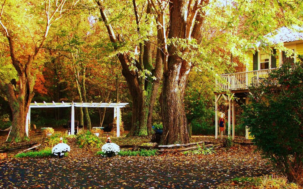 The Best Things to Do in Indiana 15