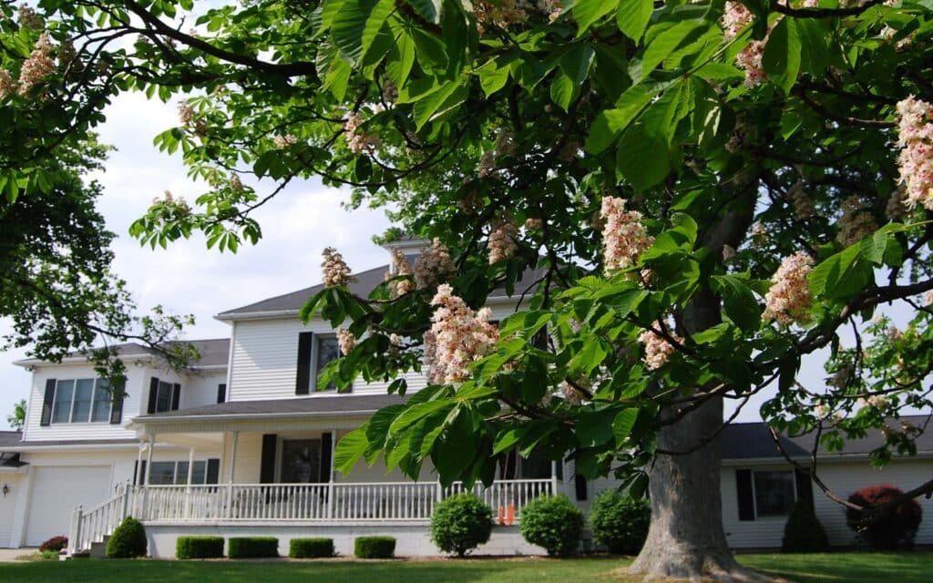 The Best Things to Do in Indiana 23