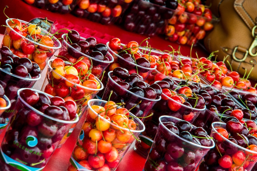 Cups of Cherries in Traverse City - one of the top travel destinations in the state and home to some of the best things to do in Michigan