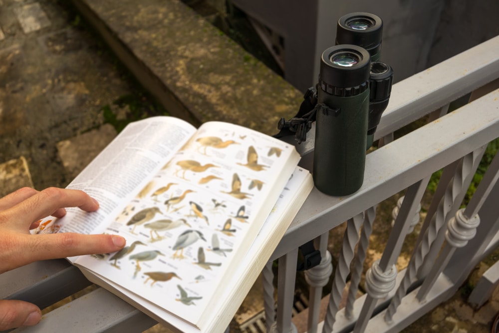 Binoculars and a field guide, as you get ready to explore Wyalusing State Park in Wisconsin