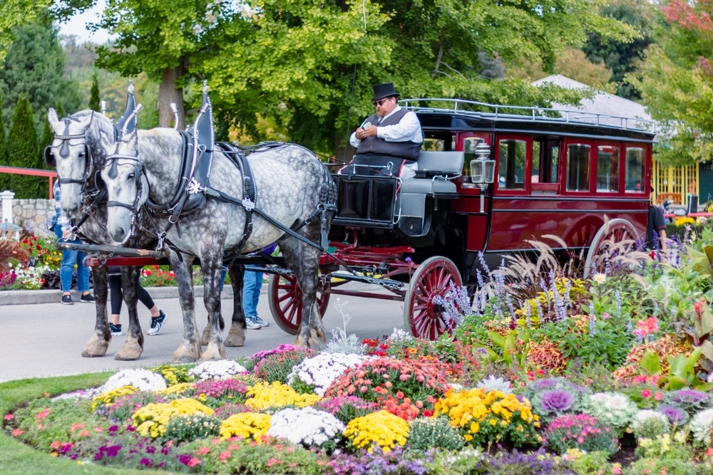 horse-drawn carriage on Mackinac island, one of the best things to do in Michigan. Editorial credit: Marvelous Nature / Shutterstock.com