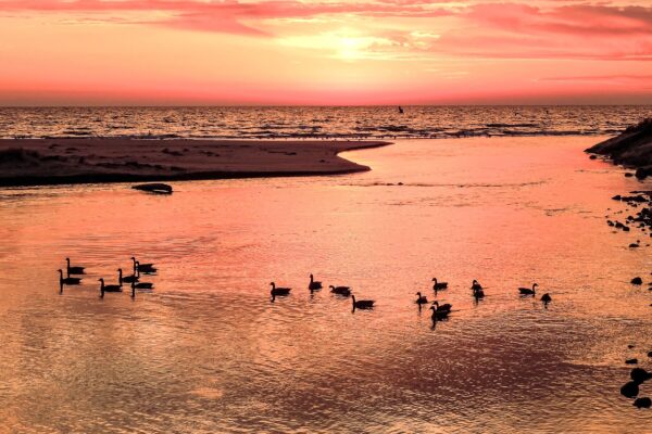 CandleLite-Inn-Ludington-1058-A-e1724776855600