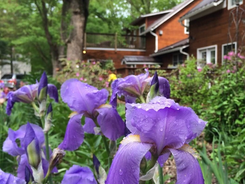 WunderRoost Bed and Breakfast 36