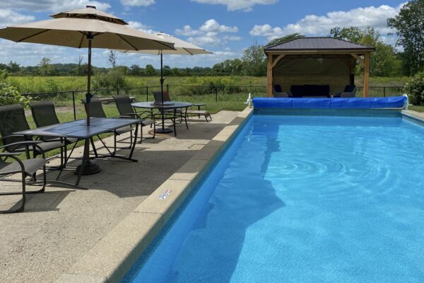 The-Vine_BnB-Dundee-Mi-IMG_0502-a-e1740180647686