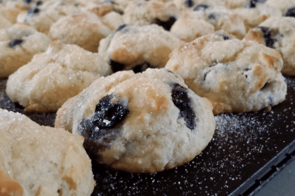 Victoria-Resort-South_Haven-Blueberry-Muffin-e1724957807411