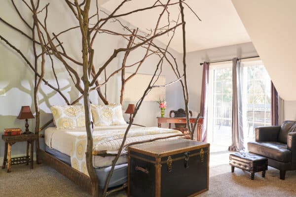 goldberry-woods-Union-Pier-Hornberry-room-9539-e1724950393887