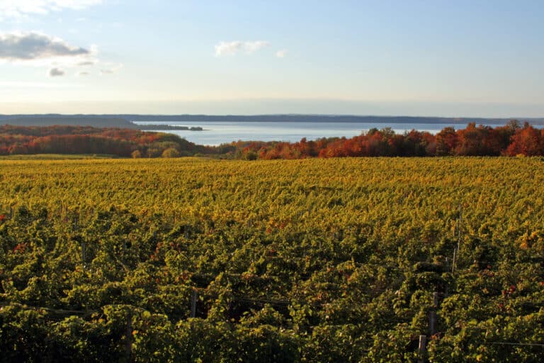 Beautiful view of fall near Traverse City wineries, one of the best weekend getaways in Michigan
