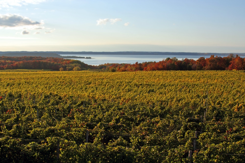Beautiful view of fall near Traverse City wineries, one of the best weekend getaways in Michigan