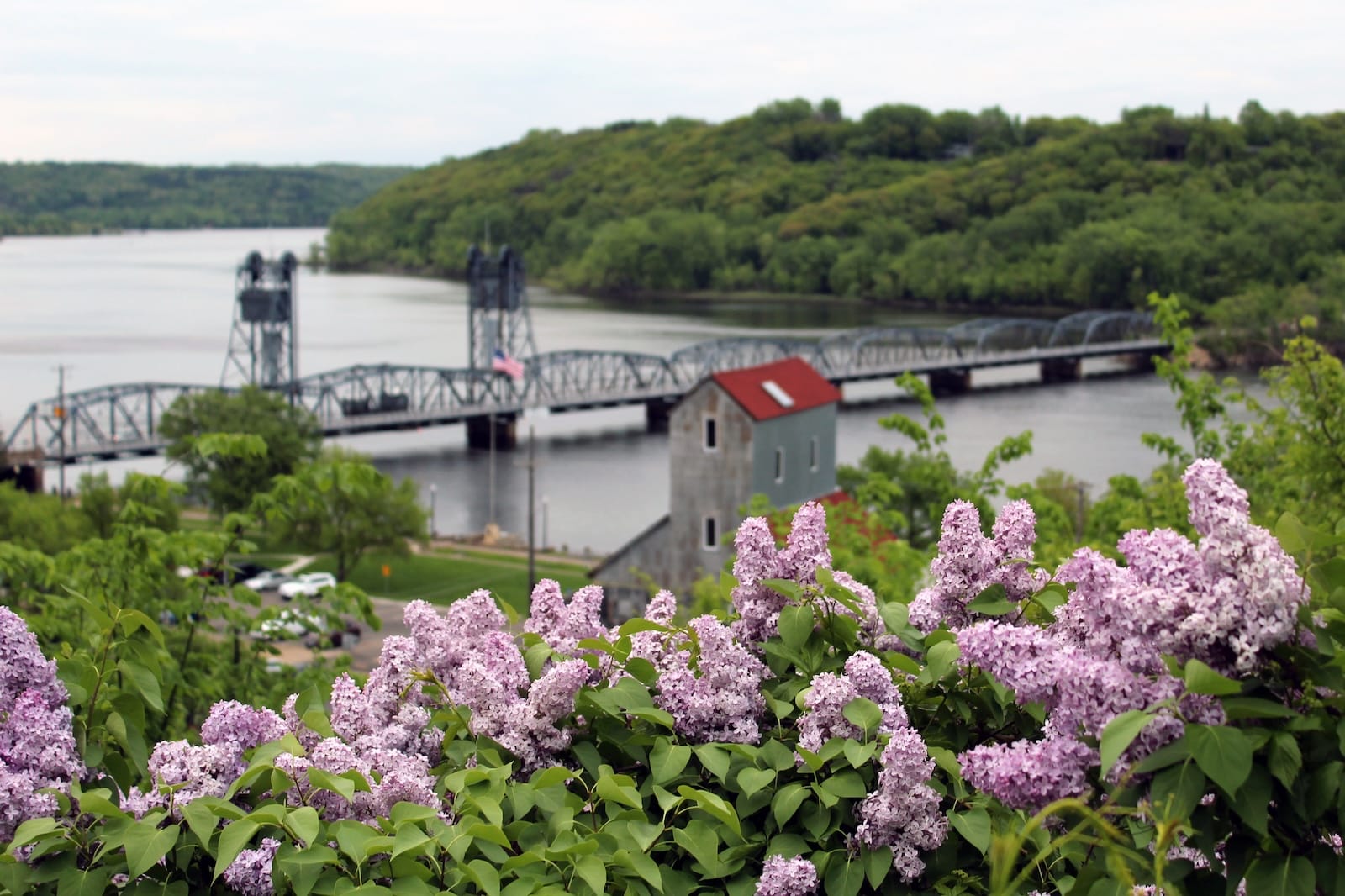 Stillwater is one of the best small towns in Minnesota to visit this year, photo of a pretty scene with the river, bridge and lilacs 